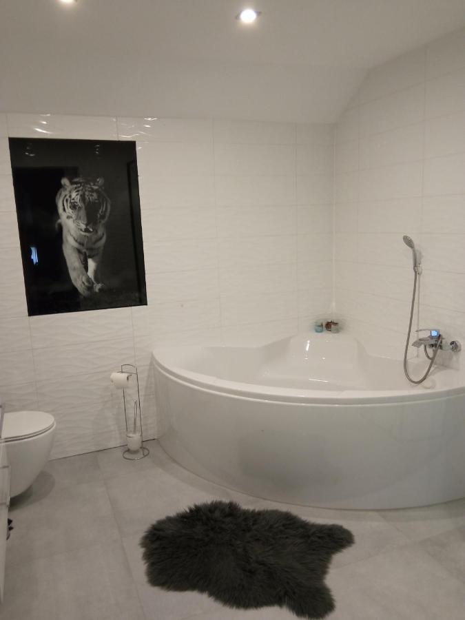 Przy Jeziorze Apartamento Iława Exterior foto